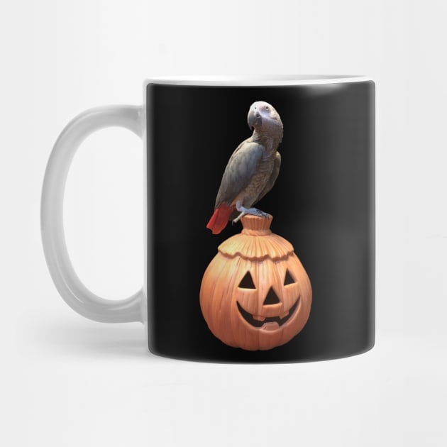 Jack-o-lantern Halloween African Grey Parrot by Einstein Parrot